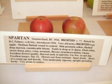 DSCF1727.jpg