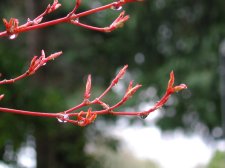 DSCN3953.jpg