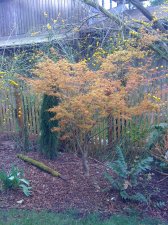 20100321 092.jpg