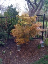 20100321 093.jpg