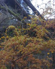 20100321 091.jpg