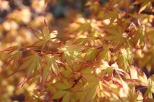 IMG_3725.jpg