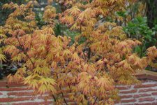 IMG_7431.jpg