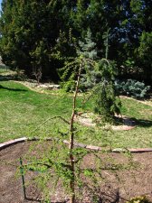 IMG_5420.jpg
