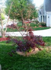 IMG_5724 (470x640).jpg