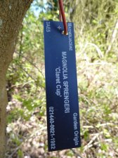 20110418_UBCBG_ClaretCupMagnolia_Cutler_P1100266.jpg