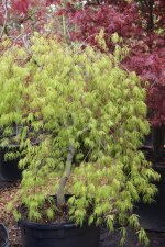 IMG_0719.jpg
