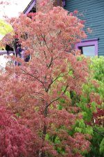 IMG_1327.jpg