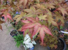 IMG_0759.jpg