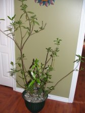 IMG_7957.jpg