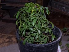 100_3474.JPG