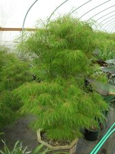 DSCN0826.JPG