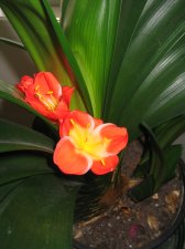 Mar 23, 2006 015.jpg