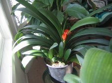 Mar 23, 2006 017.jpg