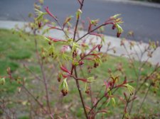 DSC01953.JPG
