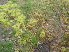 DSC01959.JPG