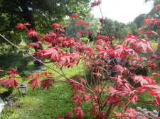 DSC00925.JPG