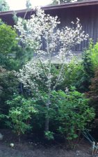 IMG_0630b.jpg