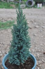 DSC_0820.JPG