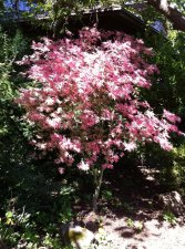 IMG_0713.jpg