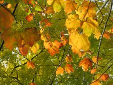 IMG_2273_resize.jpg