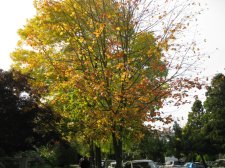 IMG_2280_resize.jpg