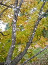 IMG_5322.jpg