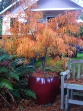 IMG_0744.jpg