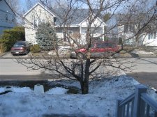 IMG_0503.JPG