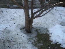 IMG_0507.JPG