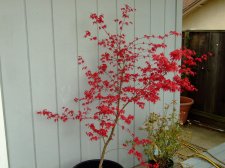 DSCF5268.jpg