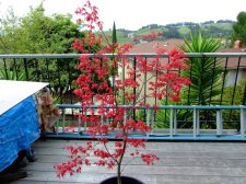 DSCF5281.jpg