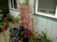 DSCF5269.jpg