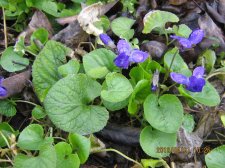 2012 03 154.jpg
