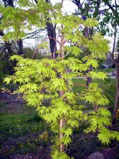 DSC00695.JPG