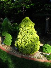 IMG_6806.jpg