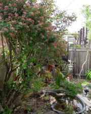 spring2012.JPG