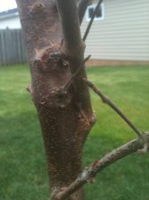IMG_0214.jpg