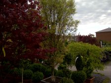 20120505-00094.jpg