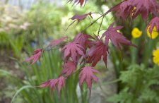 DSC_0074.jpg