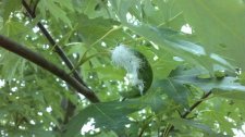 2012-05-11_19-37-19_800.jpg