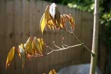 IMG_0876.jpg