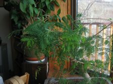IMG_0474_1.jpg