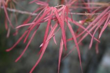 april_2006 025.jpg
