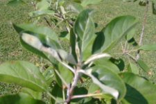 DSCF0398.JPG