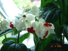 DSC00269.JPG