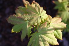 13_april_2006 049.jpg