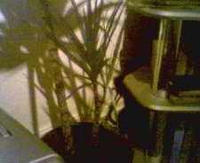 Picture 003.jpg