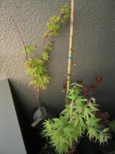 03_16_06_1.jpg