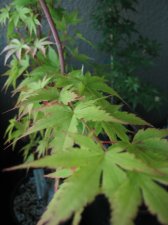 04_19_06_1.jpg